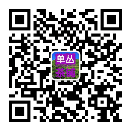 单丛茶铺公众号二维码