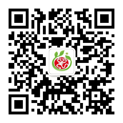 江津明珠幼儿园公众号二维码