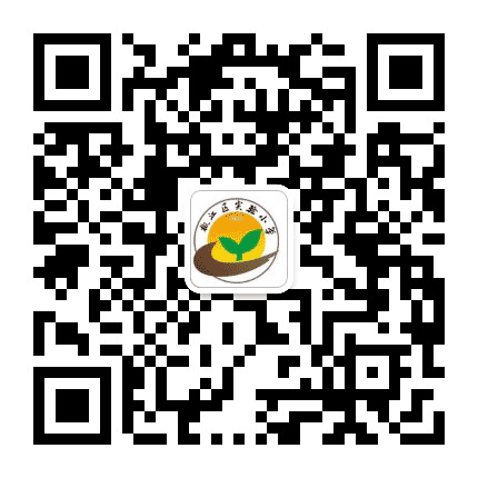 椒江区实验小学下陈校区公众号二维码