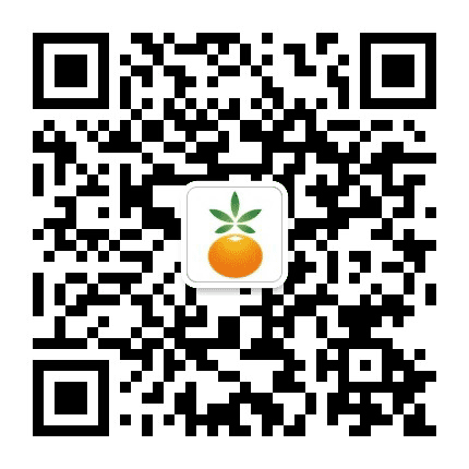 吉林汪清农村商业银行公众号二维码
