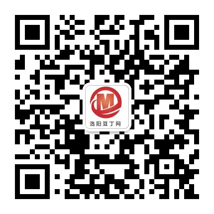 洛阳豆丁网公众号二维码