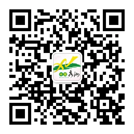 嘉兴人才人力网公众号二维码