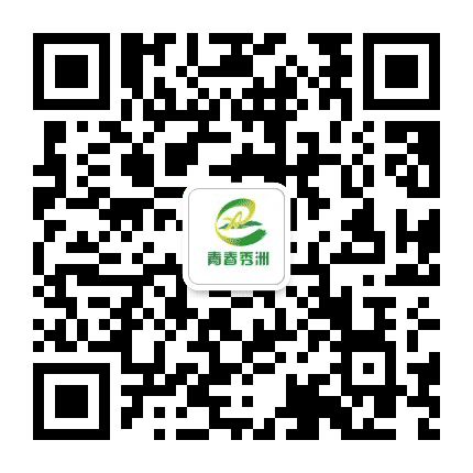 青春秀洲公众号二维码