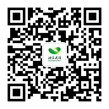 秀洲油车港公众号二维码