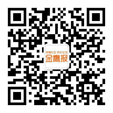 金鹰报衡阳头条公众号二维码