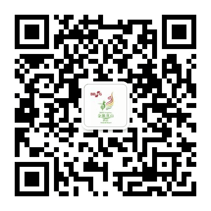 金隅凤山资讯公众号二维码