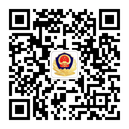平安大魏家公众号二维码