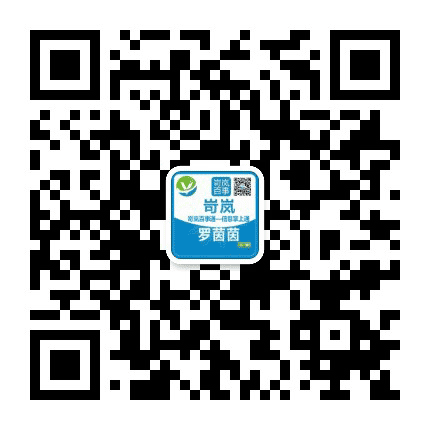 岢岚百事公众号二维码