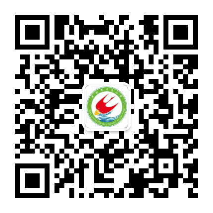 开封市文昌小学公众号二维码