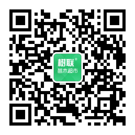 树联园艺公众号二维码