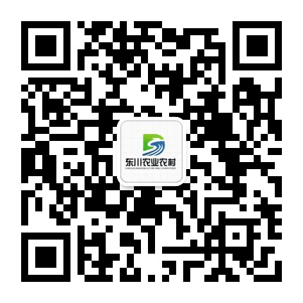 昆明市东川区农业局公众号二维码