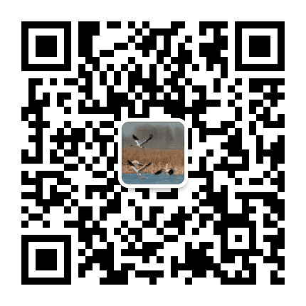 康平圈公众号二维码