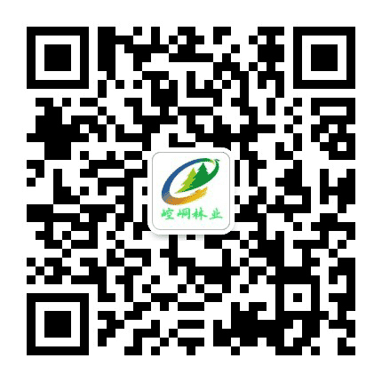 崆峒林业公众号二维码