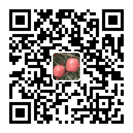 风采索罗公众号二维码