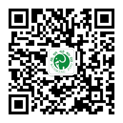 昆明动物园公众号二维码