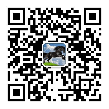 栏杆马公众号二维码