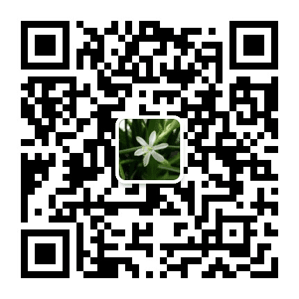 兰新墙面施工公众号二维码