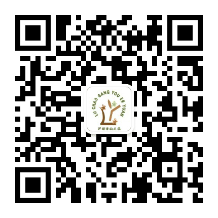 芦潮港幼儿园公众号二维码
