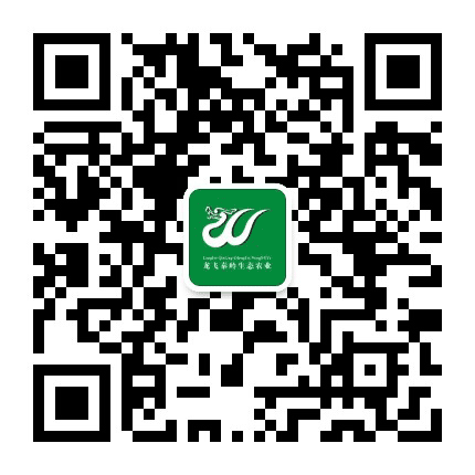 秦岭特产店公众号二维码