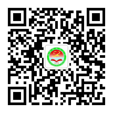 临高县第三小学公众号二维码