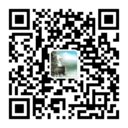 廉洁鼎湖公众号二维码