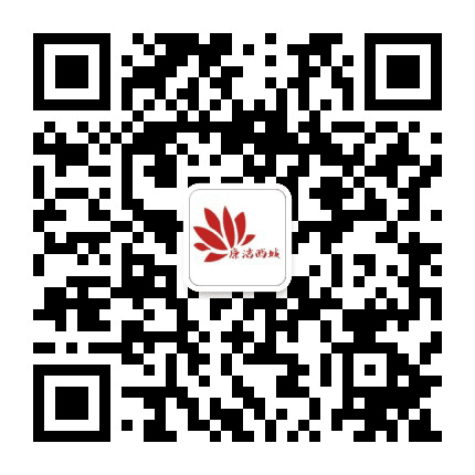 廉洁西城公众号二维码