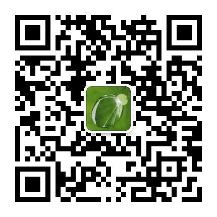 黄陂小浪之家公众号二维码