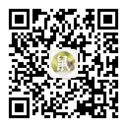 生肖鼠运势大全公众号二维码