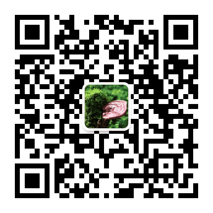 灵芝知识公众号二维码