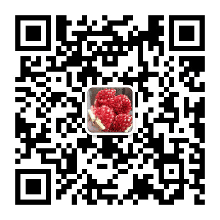 临潼石榴公众号二维码