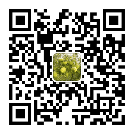 大美柳河公众号二维码