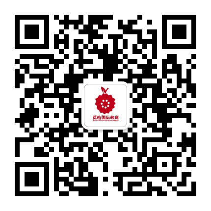 荔枝国际课程公众号二维码