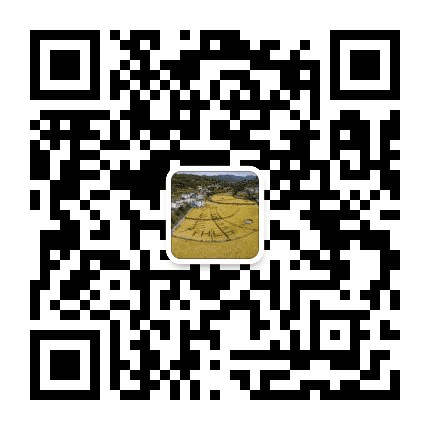 大石发布公众号二维码