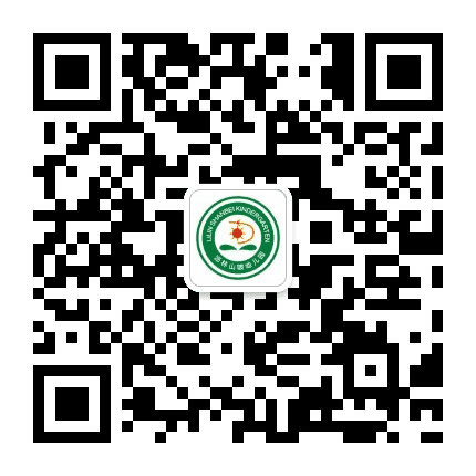 沥林山陂幼儿园公众号二维码
