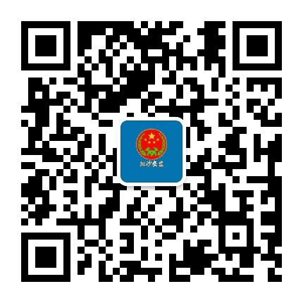 陇南成县抛沙安监公众号二维码