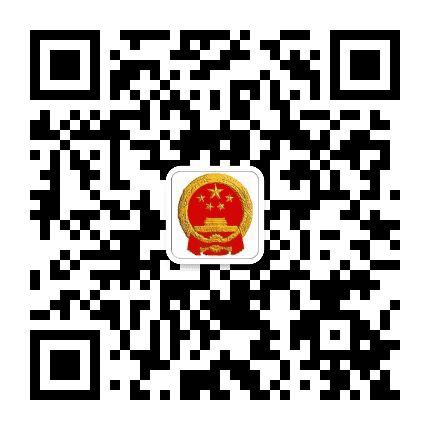 陇南徽县大河店镇公众号二维码