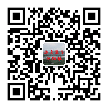 陇南徽县泥阳镇公众号二维码