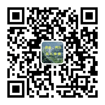 陇南两当站儿巷镇公众号二维码