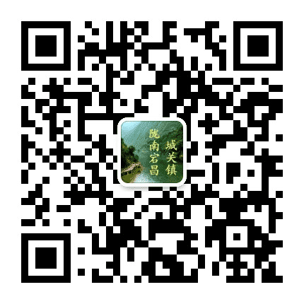 陇南宕昌城关镇公众号二维码