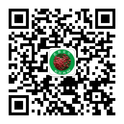 陇南武都安化镇公众号二维码