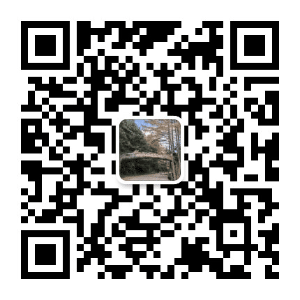 陇南武都区月照乡公众号二维码