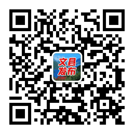 陇南文县发布公众号二维码