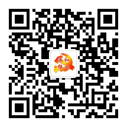 陇南西和组工公众号二维码