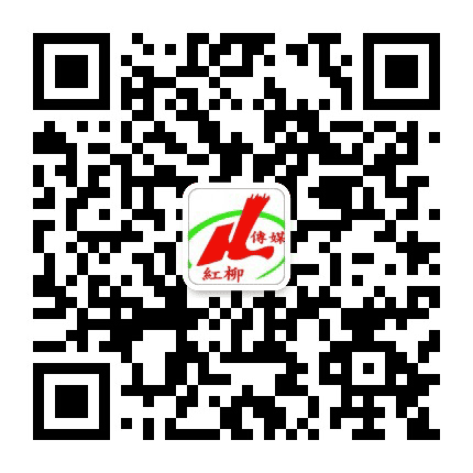 每日陇南公众号二维码