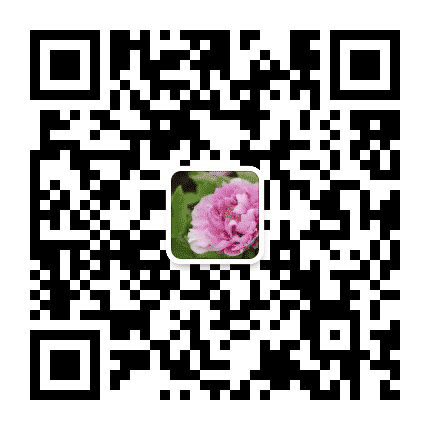 超美音乐相册公众号二维码