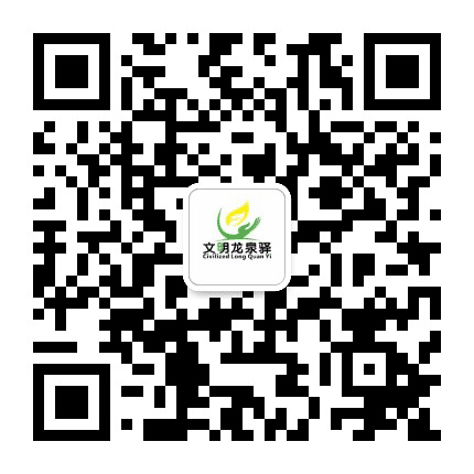 文明龙泉驿公众号二维码