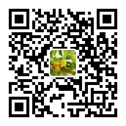 幸福桂花公众号二维码