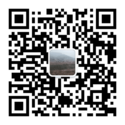 龙泉驿元包村青年公众号二维码
