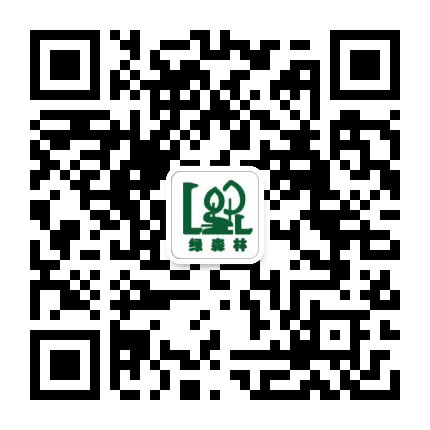 山东招远绿森林公众号二维码