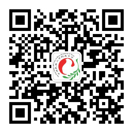 陵水民附实验学校公众号二维码